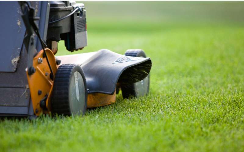 Lawn Mowing